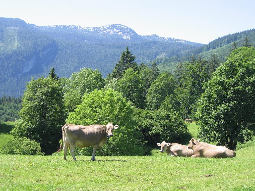 Bauernhof Haim-Schnepfleitner Pichl bei Aussee Zewnętrze zdjęcie