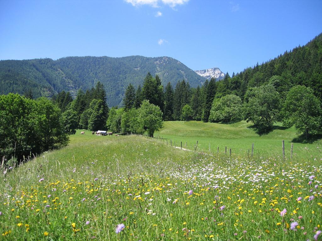 Bauernhof Haim-Schnepfleitner Pichl bei Aussee Zewnętrze zdjęcie