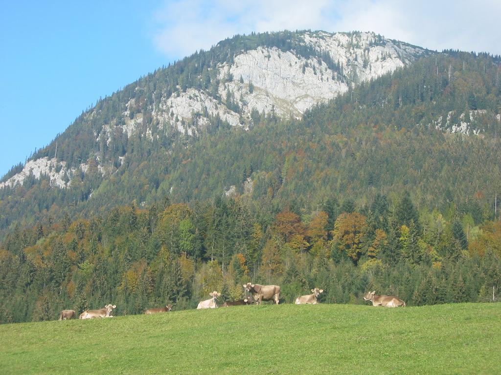Bauernhof Haim-Schnepfleitner Pichl bei Aussee Zewnętrze zdjęcie